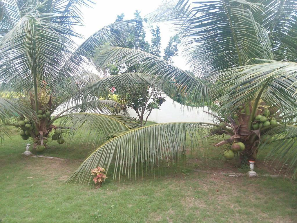 Oasi Fiore Bed & Breakfast Panglao Εξωτερικό φωτογραφία